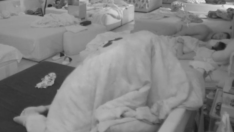 Opustili se kao da su kod kuće: Divljačka akcija Maje i Alibabe u cik zore, ovako žestoki nikad nisu bili! (VIDEO)