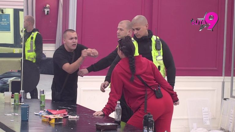 OBEZBEĐENJE NA NOGAMA: Todićka i Dačo zaratili zbog kreveta, sve se ori od uvreda! (VIDEO)