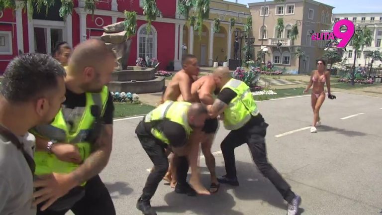 Haos epskih razmera: Obezbeđenje jedva zaustavilo haos Bore i Viktora, leti perje na sve strane (VIDEO)