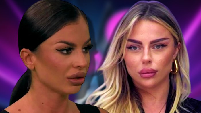 Delovalo je kao p*rnografski sadržaj: Sanja Grujić bez dlake na jeziku o pomirenju Sofije i Terze! (VIDEO)