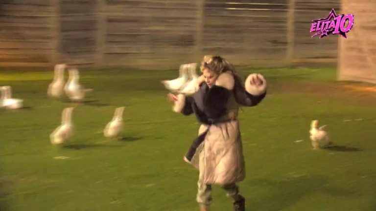 NIJE JOJ DOVOLJNO ŠTO PLAČE: Biljana pokušala da se osami, pa patke krenule u poteru za njom! (VIDEO)